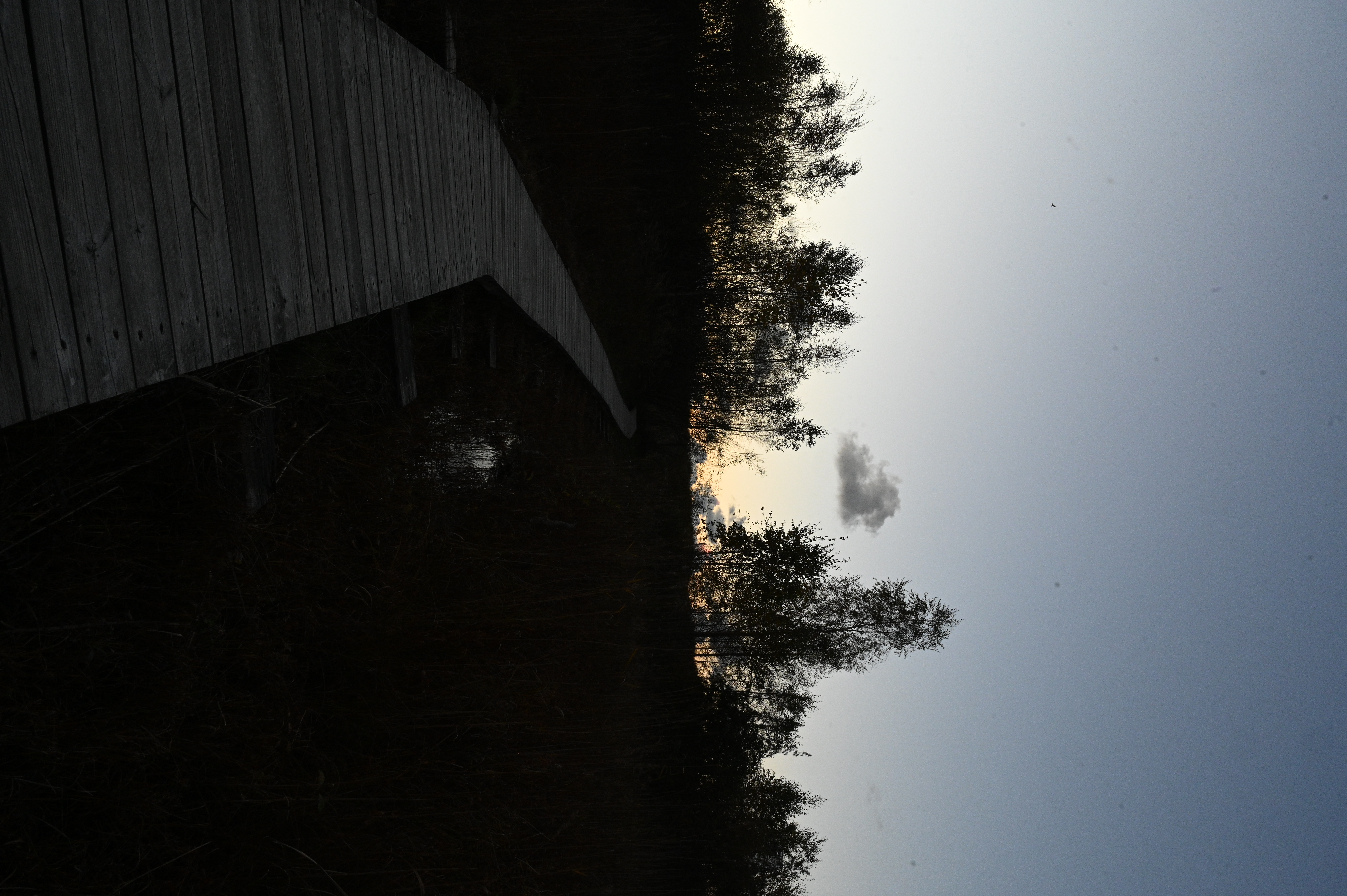 2025/10/18 - walk/DSC_0535.JPG